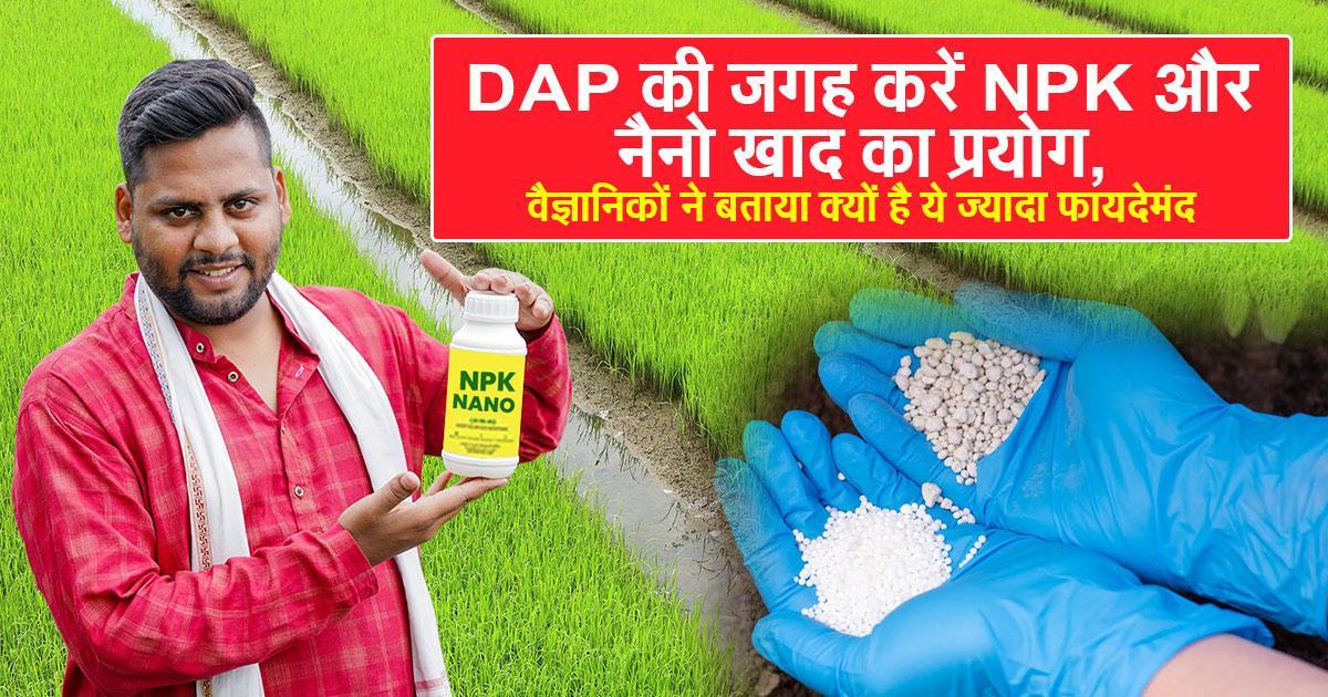 DAP and Urea